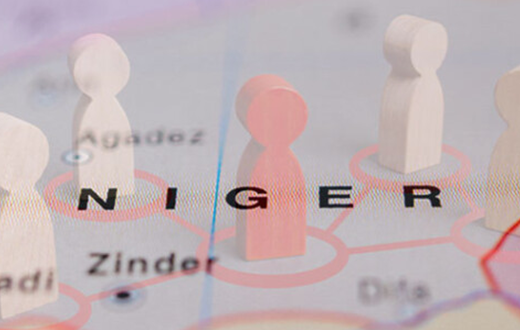 Providing a client with a more cost-efficient Global PEO solution, alternative to opening a costly foreign subsidiary and hiring directly
